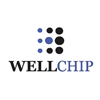 Чип для картриджа Xerox Ph 3330/3300 WC 3335/3345/106R03624, 15K Wellchip (CX3330WE)