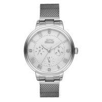 Наручний годинник Slazenger SL.09.6185.4.01