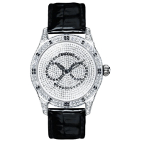 Наручний годинник Temporis T027LS.04
