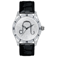 Наручний годинник Temporis T027LS.05