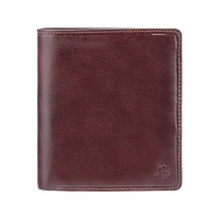 Гаманець Visconti TSC49 Matteo з RFID Brown (TSC49 BRN)
