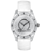 Наручний годинник Temporis T027LS.07