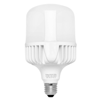Лампочка Delux BL 80 30w 4100K (90020575 90015672)