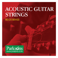 Струни для гітари Parksons Acoustic L (11-50) (S1150)
