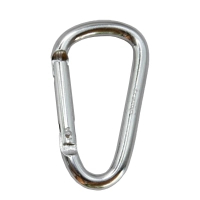 Карабін туристичний Tramp Набір 10 шт без муфти 6 cм Silver (UTRA-300-silver)