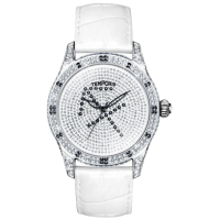 Наручний годинник Temporis T027LS.09