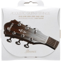 Струни для гітари Ibanez IACS6C Acoustic Guitar Strings 12-53 (301879)