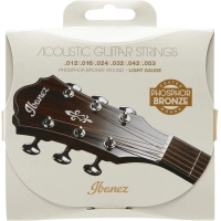 Струни для гітари Ibanez IACSP6C Acoustic Guitar Strings 12-53 (301877)