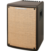 Комбопідсилювач Ibanez Troubadour T80II (227262)