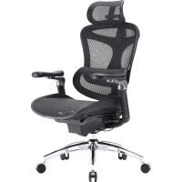 Офісне крісло Sihoo DORO C300 Pro Mesh Black (DORO-C300-PRO-M101)