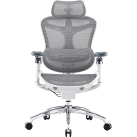 Офісне крісло Sihoo DORO C300 Pro Mesh White (DORO-C300-PRO-M102)