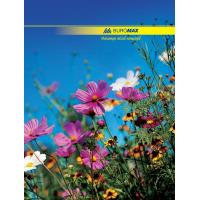 Канцелярська книга А4, 96с, NATURE Buromax (BM.2400)