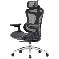 Офісне крісло Sihoo DORO C300L Mesh Black (DORO-C300L-A3-101)