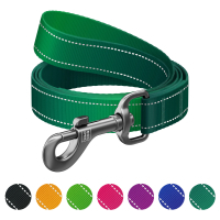 Повідець для собак WAUDOG Nylon Mono світловідбивний, S, Ш 15 мм, Д 200 см, зелений (463518)