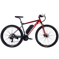 Електровелосипед Formula 29" eF-1 DD CS рама-21" 48B 12.5А*г 500Вт 2026 червоно-сріблястий (ELB-FR-29-253)