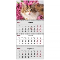 Календар Axent настінний квартальний 2027 р.,3 пр. Cats 3 (8803-27-9-A)