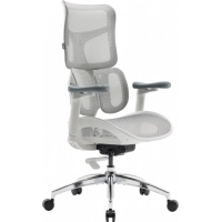 Офісне крісло Sihoo DORO S100 Mesh White (S100-M302)