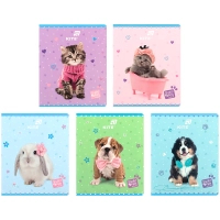 Зошит Kite Studio Pets, 24 аркуша, клітинка (SP26-238)