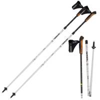 Палиці для скандинавської ходи Gabel Nordic Revo Alu Carbon (7009351340000) (DAS303396)