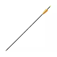 Стріла Poe Lang Fiberglass 30" Black (D-065)