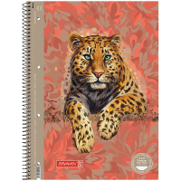 Книга записна Brunnen Коледж-блок А4 Premium Safari, лінія 80 аркушів (10-679 27 221)