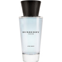 Туалетна вода Burberry Touch For Men 100 мл (3614227748682)