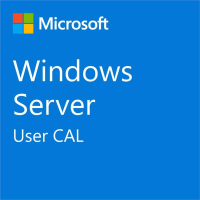ПЗ для сервера Microsoft Windows Server 2025 CAL - 1 User CAL - 1 year Subscription, Commercial, Annual (DG7GMGF0PWHT_0004_P1Y_A)