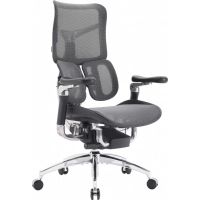 Офісне крісло Sihoo DORO S300 Mesh Dark Grey (S300-M201)