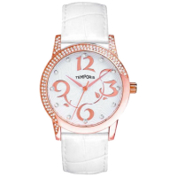 Наручний годинник Temporis T031LS.03