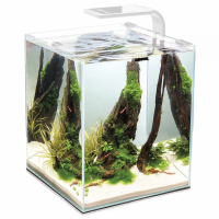 Акваріум AquaEl Shrimp Set Smart для креветок прямий білий 19 л (5905546326223)