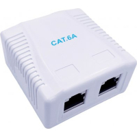 Комп'ютерна розетка Cablexpert RJ45x2 FTP, cat.6A (NCAC-2F6A-01)