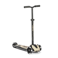 Самокат Scoot&Ride Highwaykick 5 LED Ash (SR-190117-ASH)