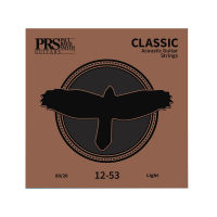 Струни для гітари PRS Classic Acoustic Strings Light 12-53 (100148024002005)