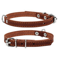 Нашийник для тварин Collar одинарний Ш 10 мм Д 22-30 см коричневий (00156)