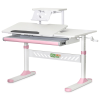 Парта ErgoKids з полицею Pink (TH-310 W/PN + BD-S30 PN)