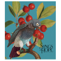 Зошит Школярик Birds 60 аркушів клітинка (060-3410K)