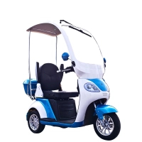Електроскутер Skyline S (T418S) 500Вт 48В 20Агод (297055)