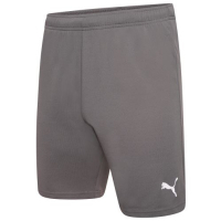Шорти Puma teamRISE Short 704942-13 сірий XL (4063699212075)