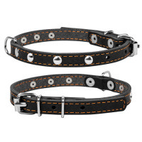 Нашийник для тварин Collar одинарний з прикрасами Ш 14 мм Д 27-35 см чорний (00041)