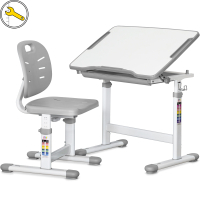 Парта зі стільцем Evo-kids Ergo Grey (Evo-05 Ergo G)