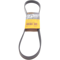 Поліклиновий ремінь CONTITECH 6PK1059ELAST
