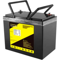 Батарея LiFePo4 Liitokala LiFePO4 12V-100Ah (Lii-LiFePO4120-100/ 12V100Ah LiFePO4)