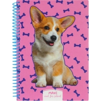 Блокнот Maxi А5, пластикова обкладинка, спіраль, 80 арк., клітинка (MX21950-03)