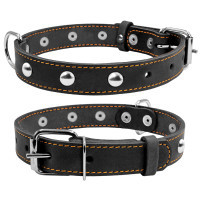 Нашийник для тварин Collar одинарний з прикрасами Ш 25 мм Д 38-50 см чорний (02231)