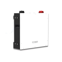 Батарея LiFePo4 Dyness DL5.0C Heat 51.2V/100Ah 5,12kWh (DL5.0C-H)
