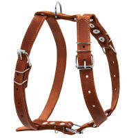 Шлея для собак Collar одинарна для середніх порід Ш 25 мм А:49-68 см В:68-80 см коричнева (06386)
