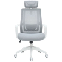 Офісне крісло OfficePro Harmony OC310-W-LG-LG (OC310-W-LG-LG)