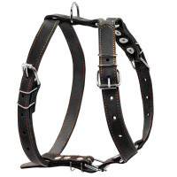 Шлея для собак Collar одинарна для середніх порід Ш 25 мм А:49-68 см В:68-80 см чорна (06381)