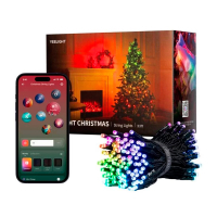 Гірлянда Yeelight RGBIC 10 м (YLYDD-0055)