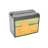 Батарея LiFePo4 Dyness 12,8V 50Ah (50/50A) (Eco-Worthy-1250)